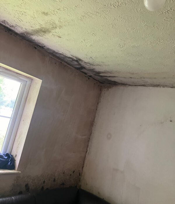 ABSM Building Services