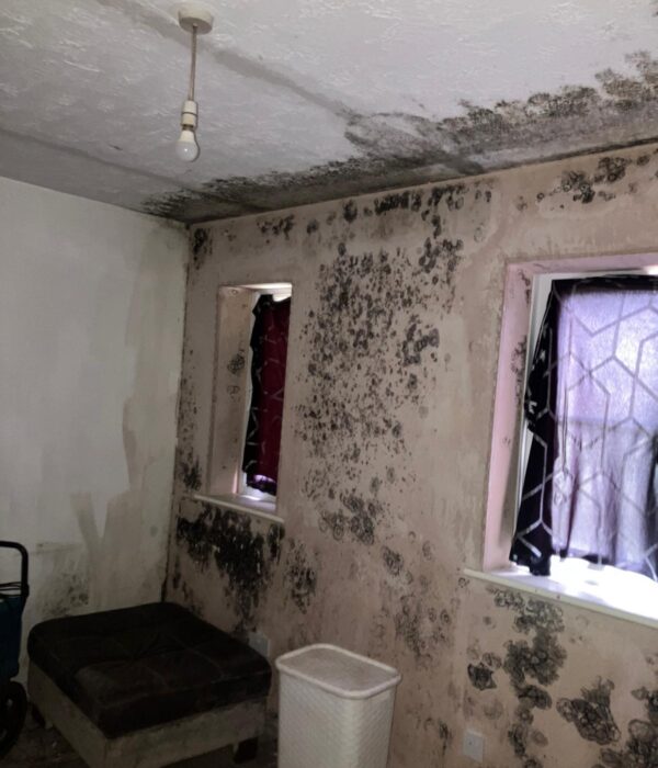 ABSM Building Services