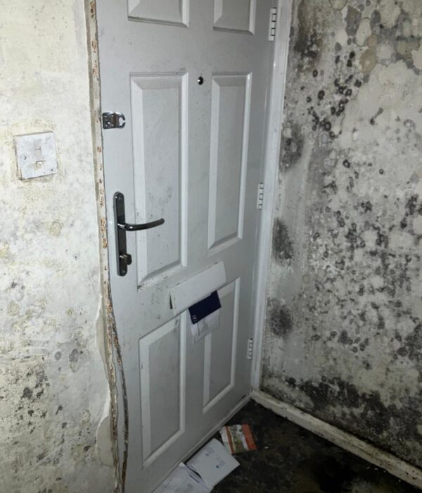ABSM Building Services