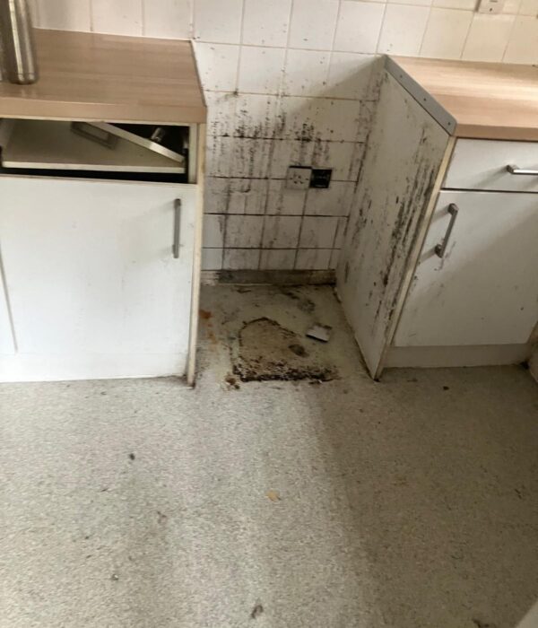 ABSM Building Services