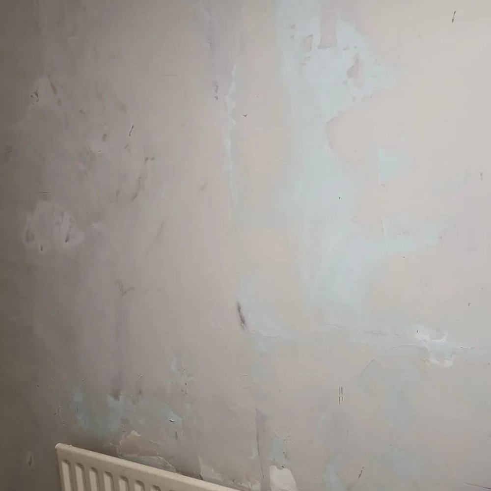 ABSM Building Services